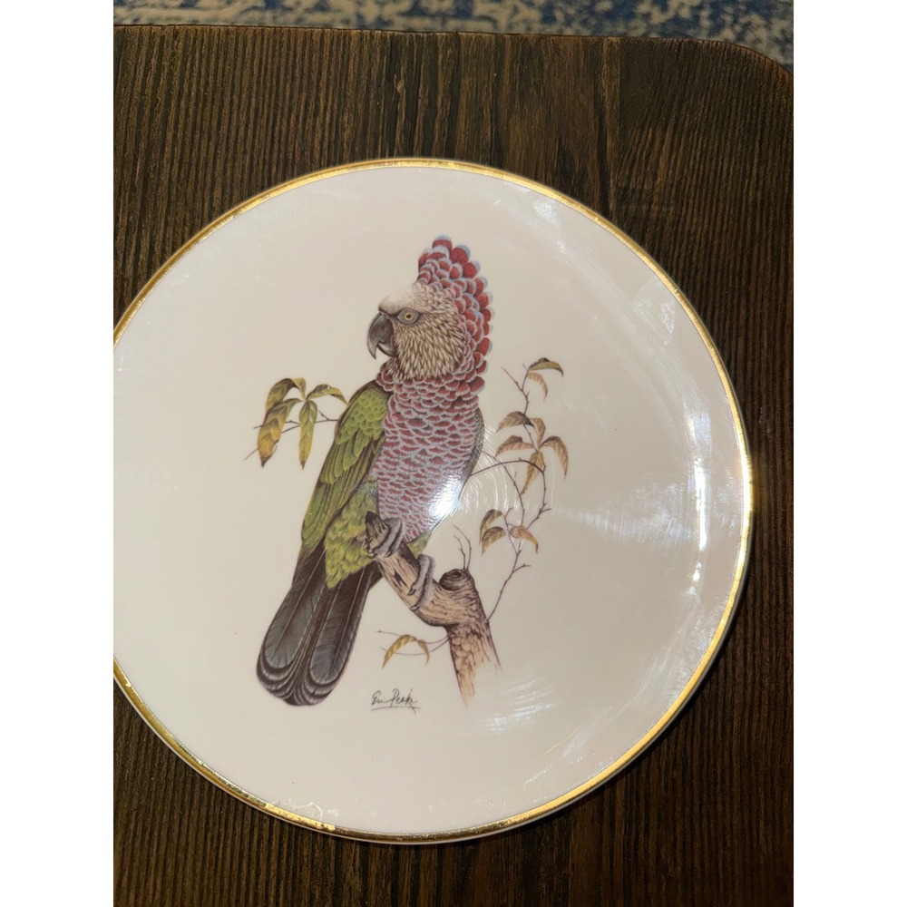 Vintage Astbury 1989 Hawkhead Parrot Collector Plate Eric Peake #463